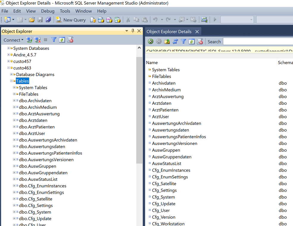 custo diagnostic 4.x > How you can import a database to version 4.6.x > image2018-10-19_13-40-6.png